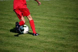 开云体育俱乐部官网-中国篮球教练员执教技能培训体系，中国篮协篮球教练员培训班