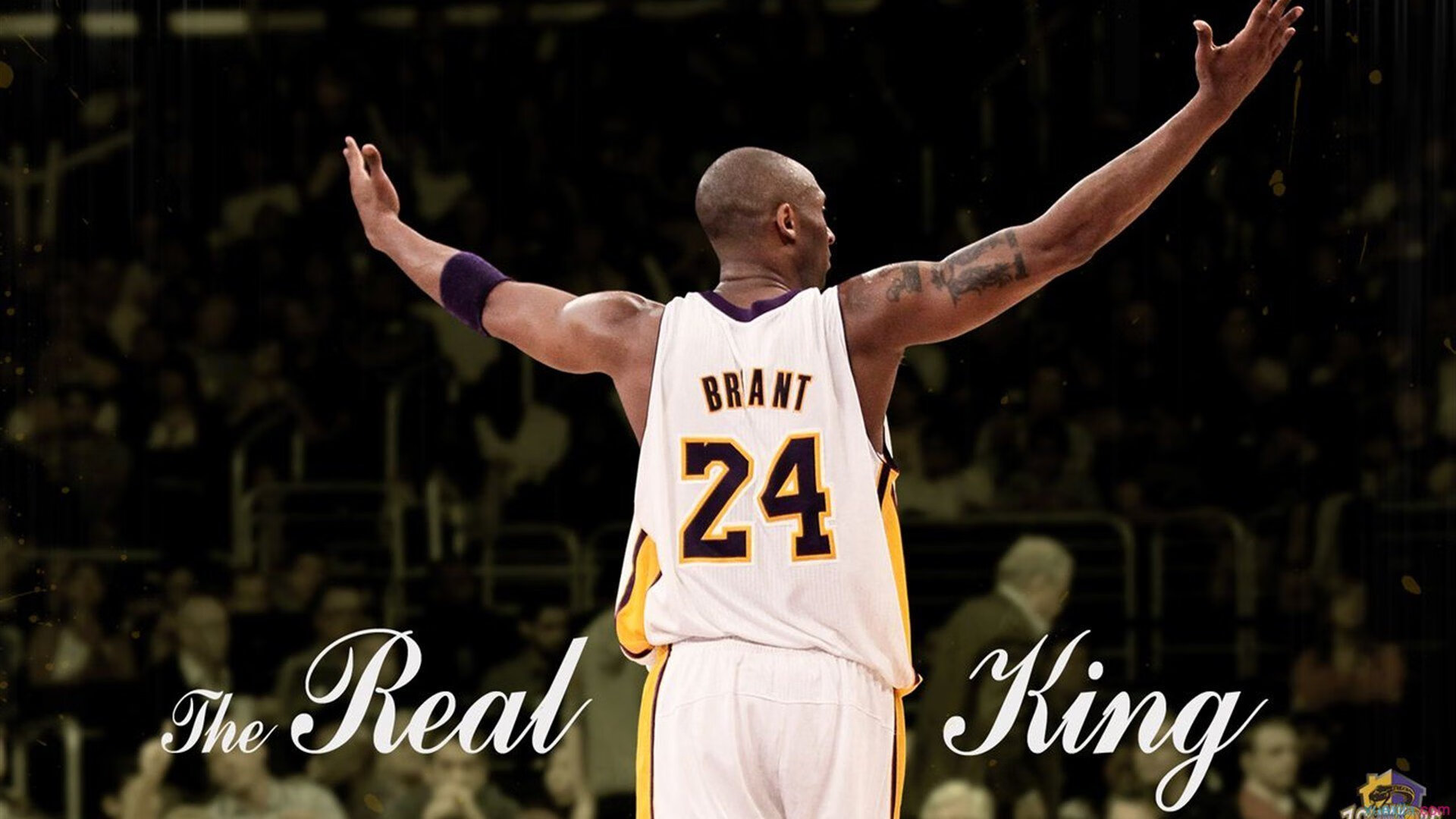 开云网站-足坛新兴力量：非传统强队的崛起之路，新兴足球明星