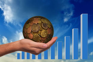 kaiyun 开云体育-高校体育课程线上线下融合教学模式研究,体育课线上教学与线下教学的看法